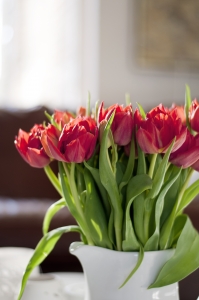 kompozycja tulipanow